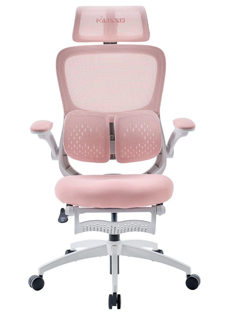 MUSSO E70 Ergonomic Office Chair with Footrest Breathable Mesh Adjustable Lumbar Support for Home Office & Gaming