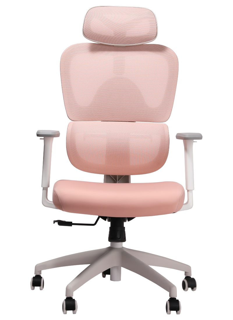MUSSO E600 SE Ergonomic Mesh Office Chair
