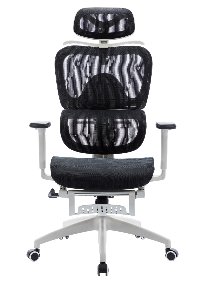MUSSO E600 Mesh Ergonomic Office Chair