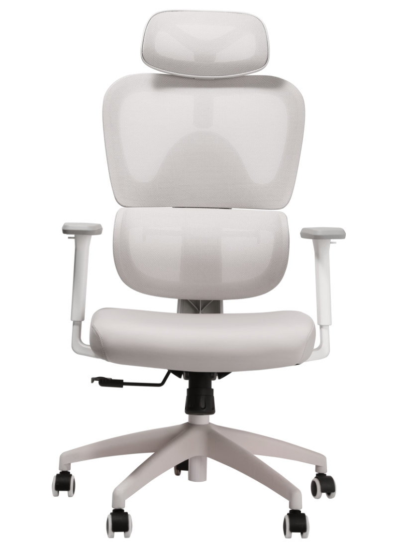MUSSO E600 SE Ergonomic Mesh Office Chair