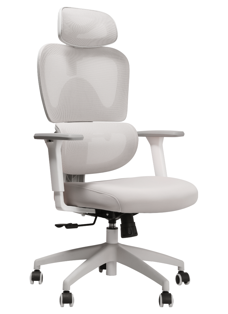 MUSSO E600 SE Ergonomic Mesh Office Chair