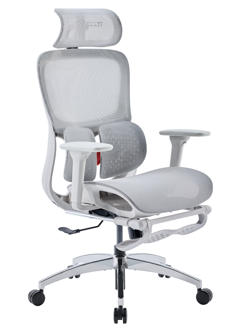 MUSSO E70 Ergonomic Office Chair with Footrest Breathable Mesh Adjustable Lumbar Support for Home Office & Gaming