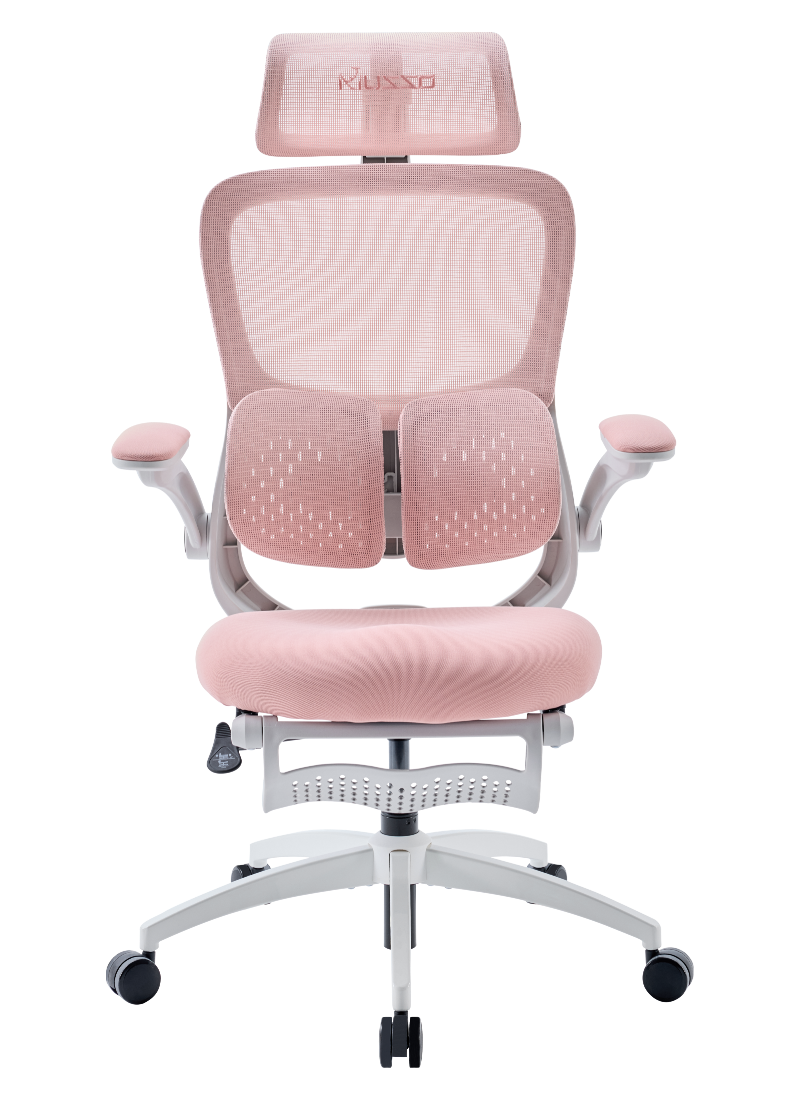 MUSSO E70 Ergonomic Office Chair with Footrest Breathable Mesh Adjustable Lumbar Support for Home Office & Gaming