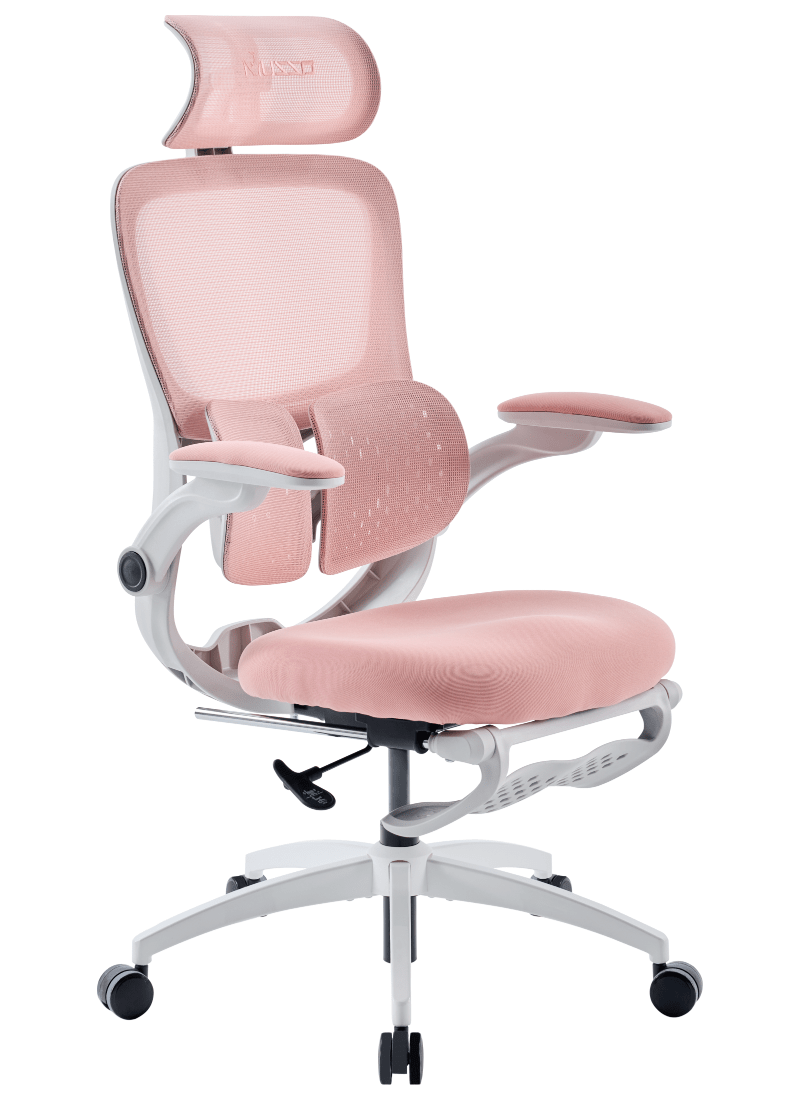 MUSSO E70 Ergonomic Office Chair with Footrest Breathable Mesh Adjustable Lumbar Support for Home Office & Gaming